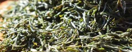 庐山云雾茶是十大名茶吗？