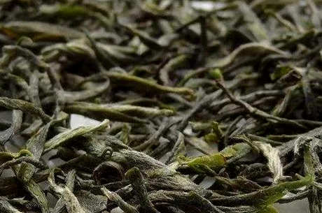 庐山云雾茶是十大名茶吗？