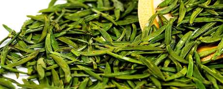 叙府龙芽是什么茶？