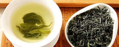 屯溪绿茶属于什么茶？
