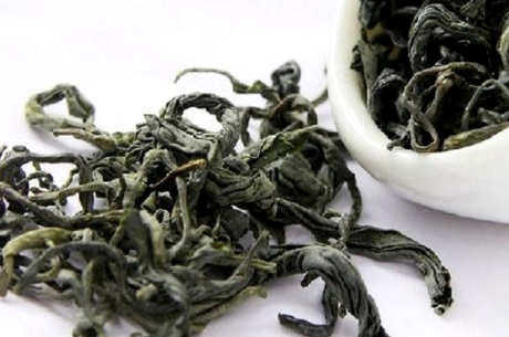 屯溪绿茶属于什么茶？