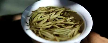 白茶有哪些品种？