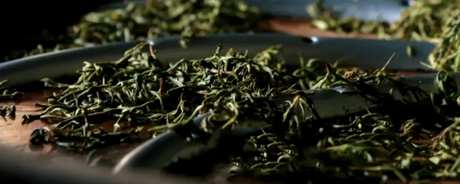 羊岩勾青属于什么茶？