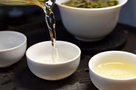 大白茶是什么茶种？