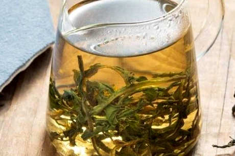 蒲公英茶是凉还是热？