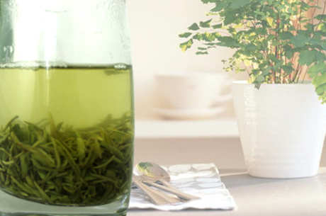 观山茶是什么茶？