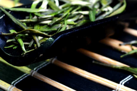 什么茶属于黎平雀舌？