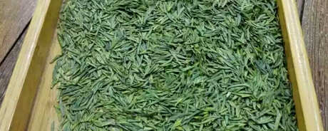 什么茶属于黎平雀舌？