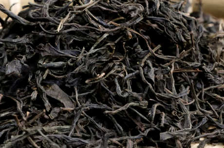 什么茶属于大叶茶？