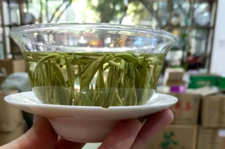 雀舌属于什么等级？