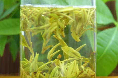 雀舌茶的特点是什么？