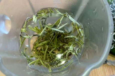 雀舌的口感特征