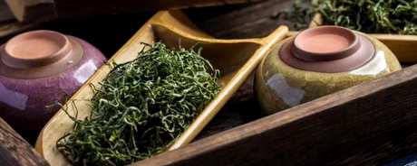 秦塘毛尖茶属于什么茶？