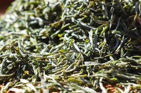 庐山云是绿茶吗？