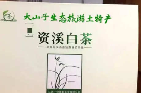 资溪白茶属于什么茶？