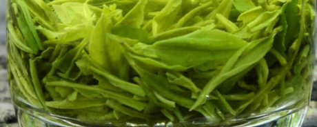 西乡炒青茶属于什么茶？