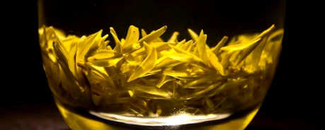 天台黄茶属于什么茶？