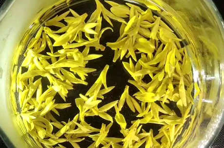 天台黄茶属于什么茶？