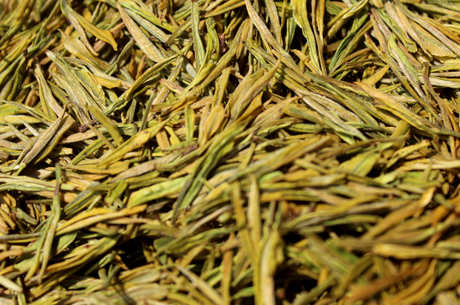 天台黄茶属于什么茶？