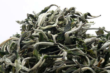 什么茶是宝顶雪芽？