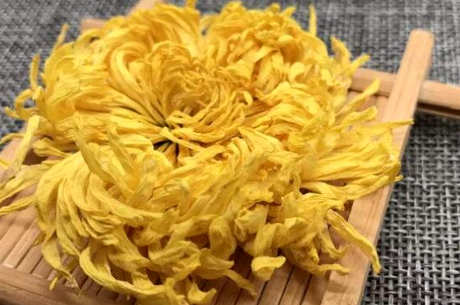金黄菊和什么一起泡？