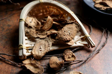 牛蒡茶是什么？