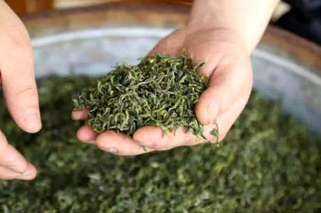 绿茶工艺生产工艺