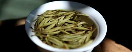 喝白茶好吗？