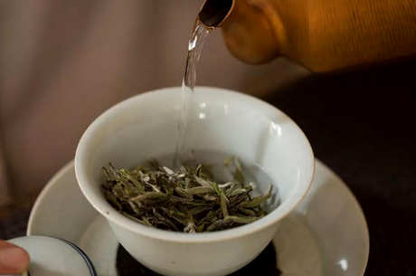 喝白茶好吗？