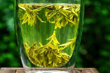 什么茶叫绿茶？