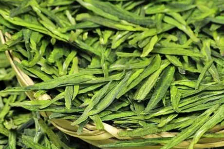 什么茶是初采茶？