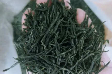南京雨花茶保质期