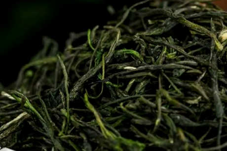 永川秀芽属于什么茶？