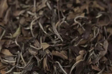 白茶和白茶有区别吗？