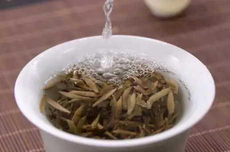 如何泡老白茶是正确的方法