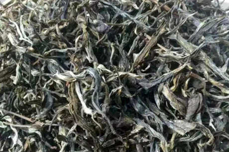 晒青毛茶是什么茶？