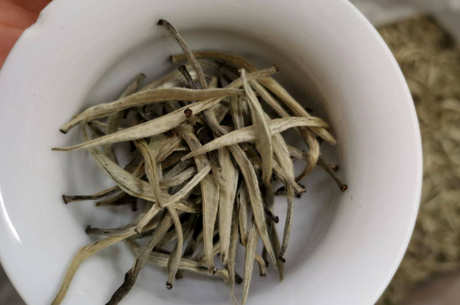 黄竹白毫是什么茶？