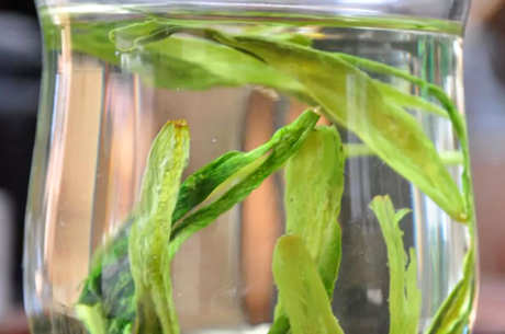 猴魁茶属于什么茶？