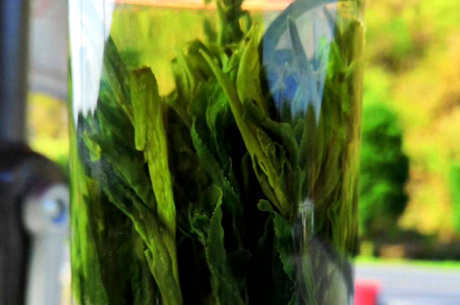 猴魁茶属于什么茶？