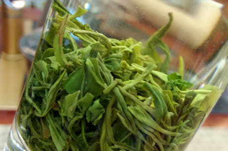 陕青茶是什么茶？