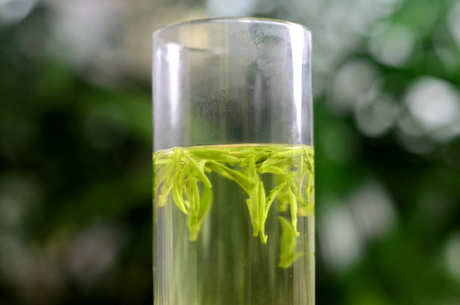 雨前茶和明前茶的区别