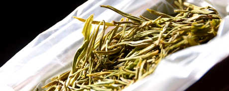 安吉黄金芽属于什么茶？