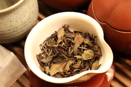 喝什么茶
