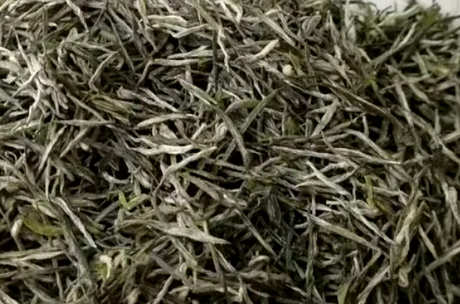 秋天喝什么茶好？