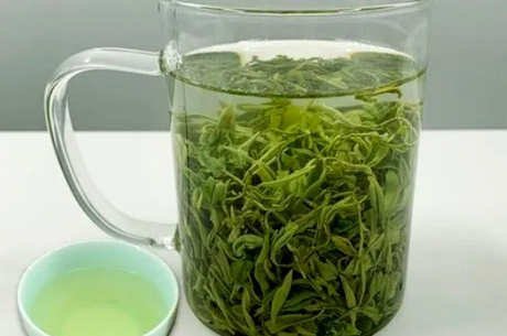日照绿茶怎么样？