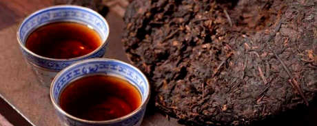 普洱茶越长越好吗？