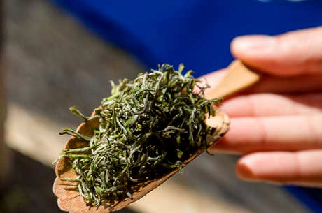 绿茶凉了还能喝吗？