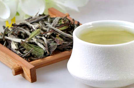 云南白茶和福建白茶的区别在于