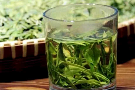 雨前茶和雨后茶的区别