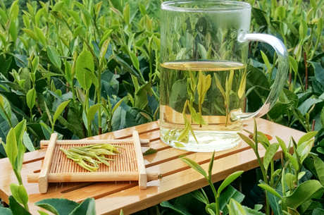 什么绿茶好吃？
